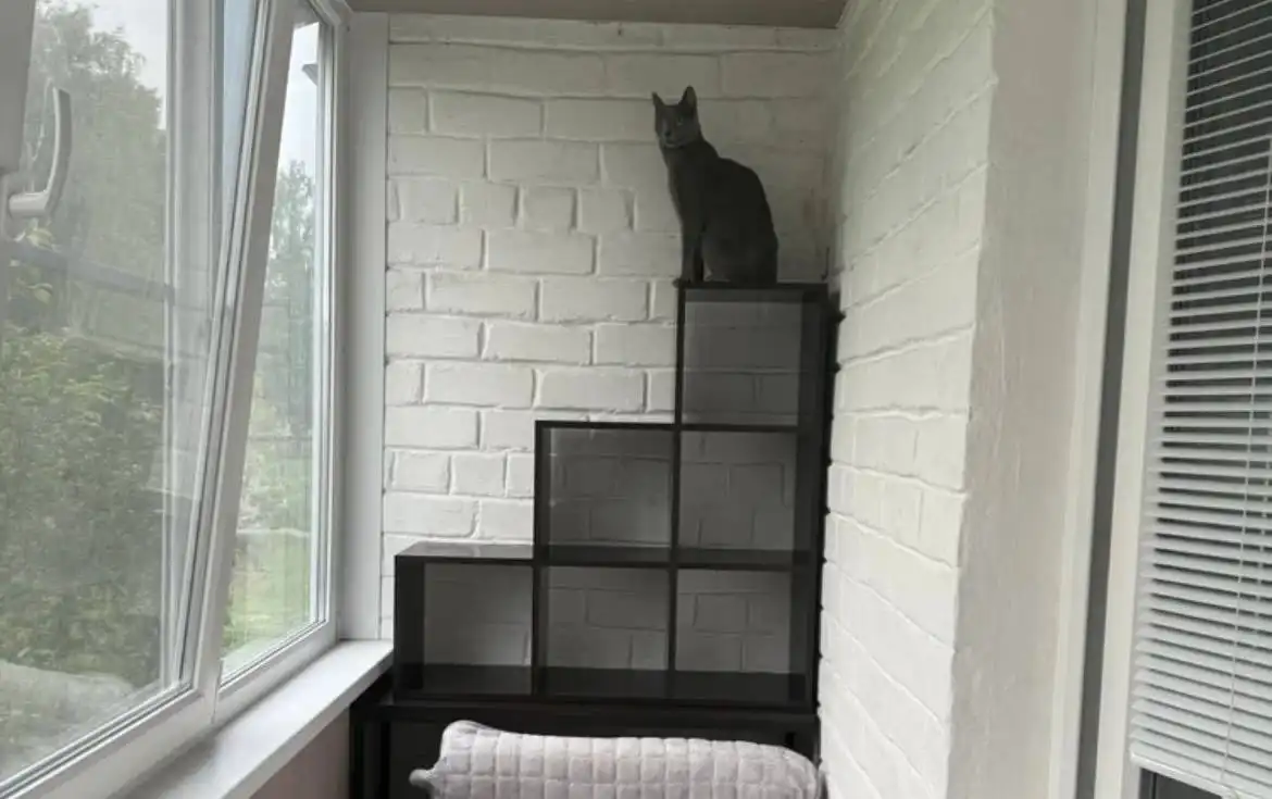 Стенка напольная для телевизора и мелочей - Мебель (Для дома и дачи) в Тюмень