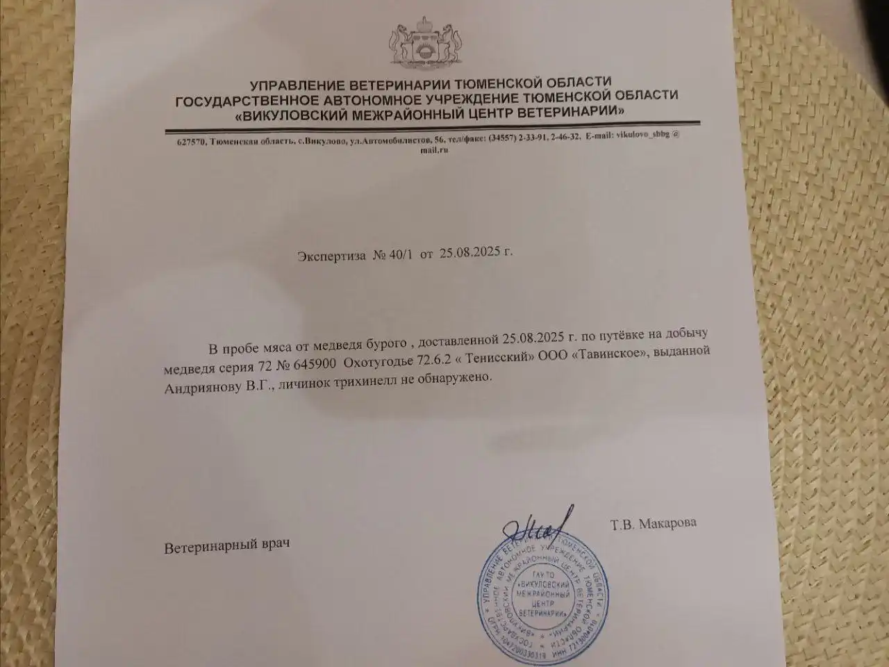 Медвежий жир и тушёнка в Тюмени - Продукты питания (Барахолка) в Тюмень