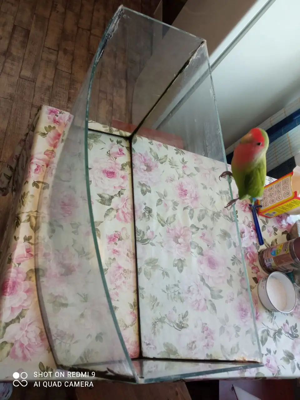 Продам аквариум на 30 литров - Аквариумистика (Хобби и отдых) в Тюмень