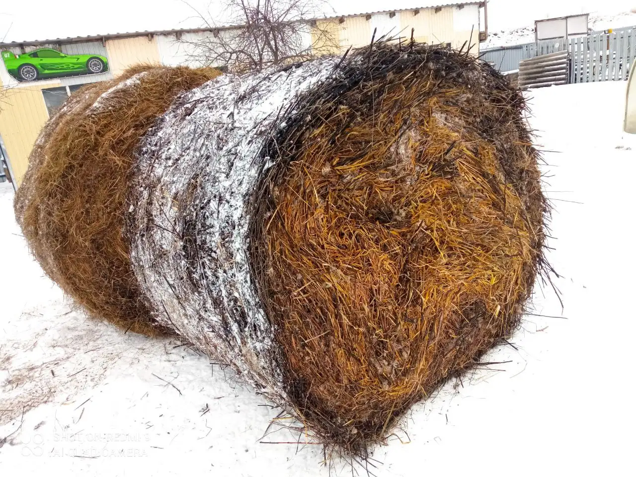 Продам 2 тюка сена 2025 год - Барахолка в Тюмень