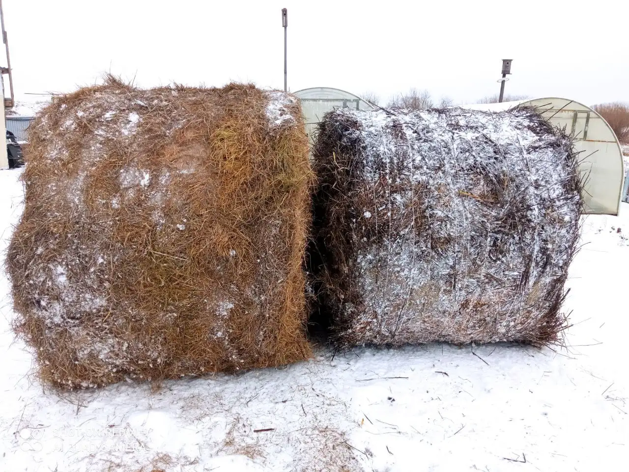 Продам 2 тюка сена 2025 год - Барахолка в Тюмень
