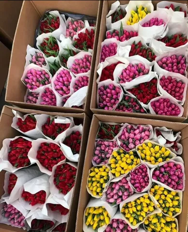 Предзаказ тюльпанов до 3 марта - Разное в Тюмень