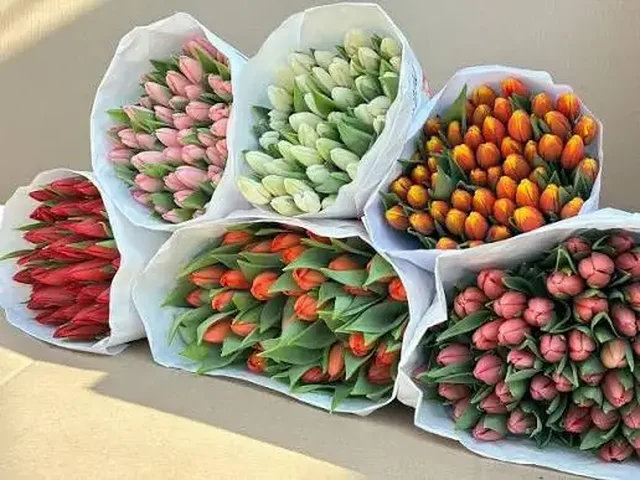 Предзаказ тюльпанов и мимозы к 8 марта с доставкой - Домашняя выпечка/сладости в Тюмень