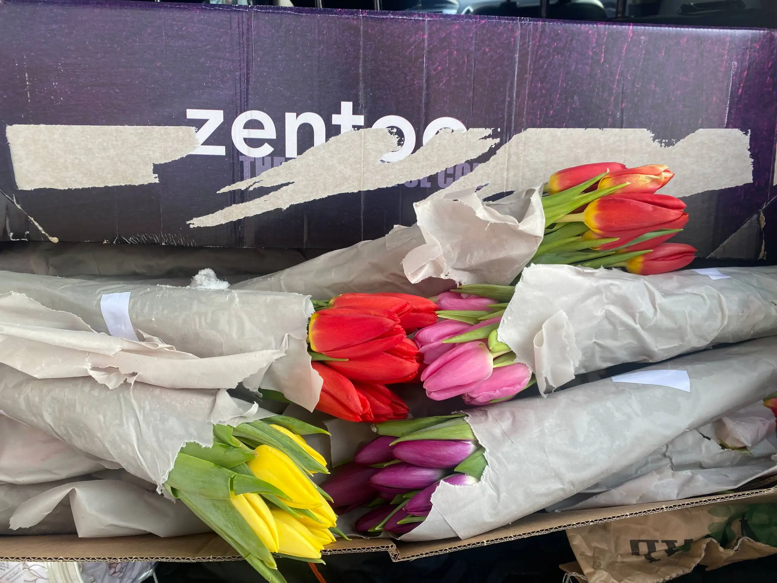 Тюльпаны - Растения (Барахолка) в Тюмень