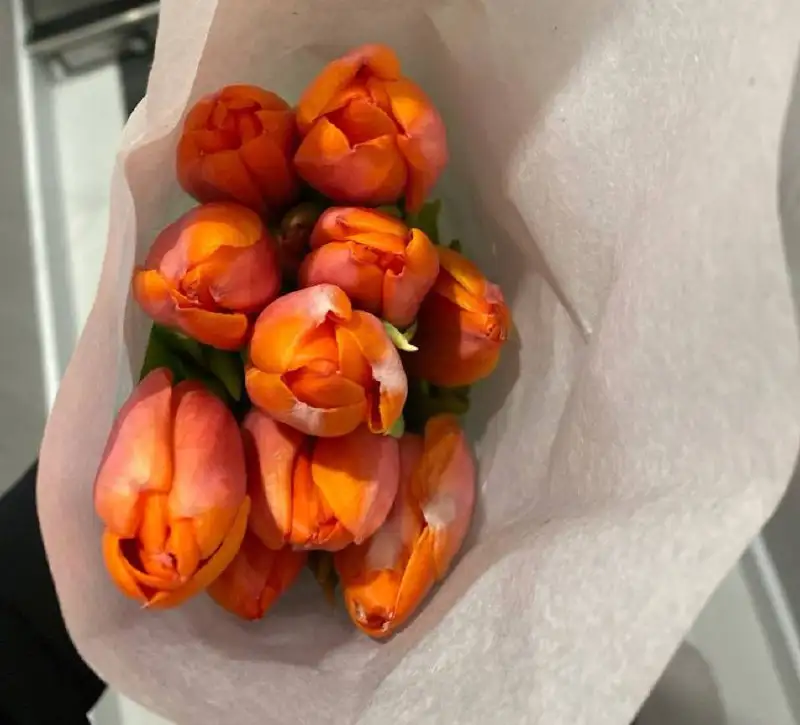 Тюльпаны по 95 рублей - Цветы (Хобби и отдых) в Тюмень