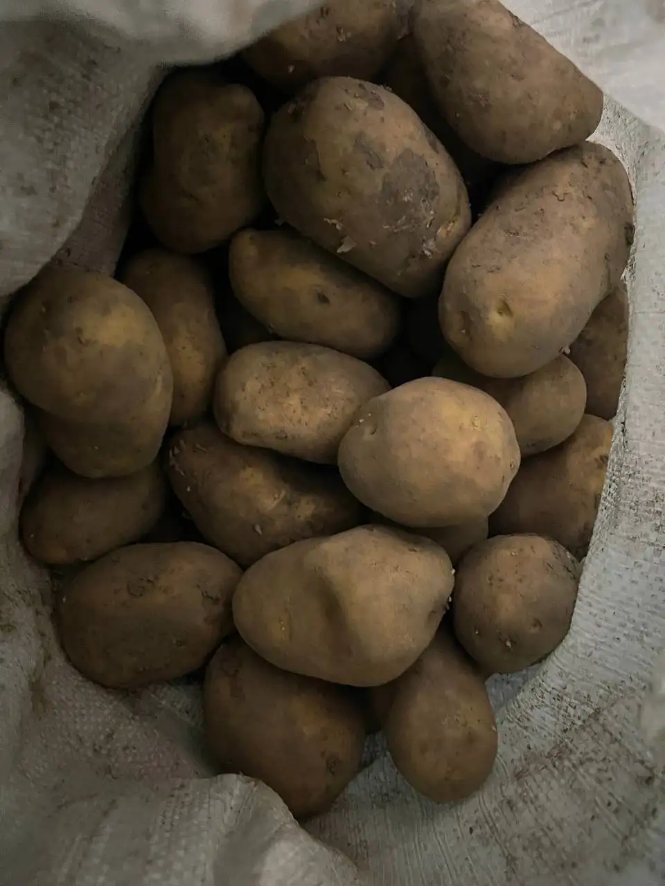 Продажа домашней картошки с огорода - Продукты питания (Для дома и дачи) в Тюмень