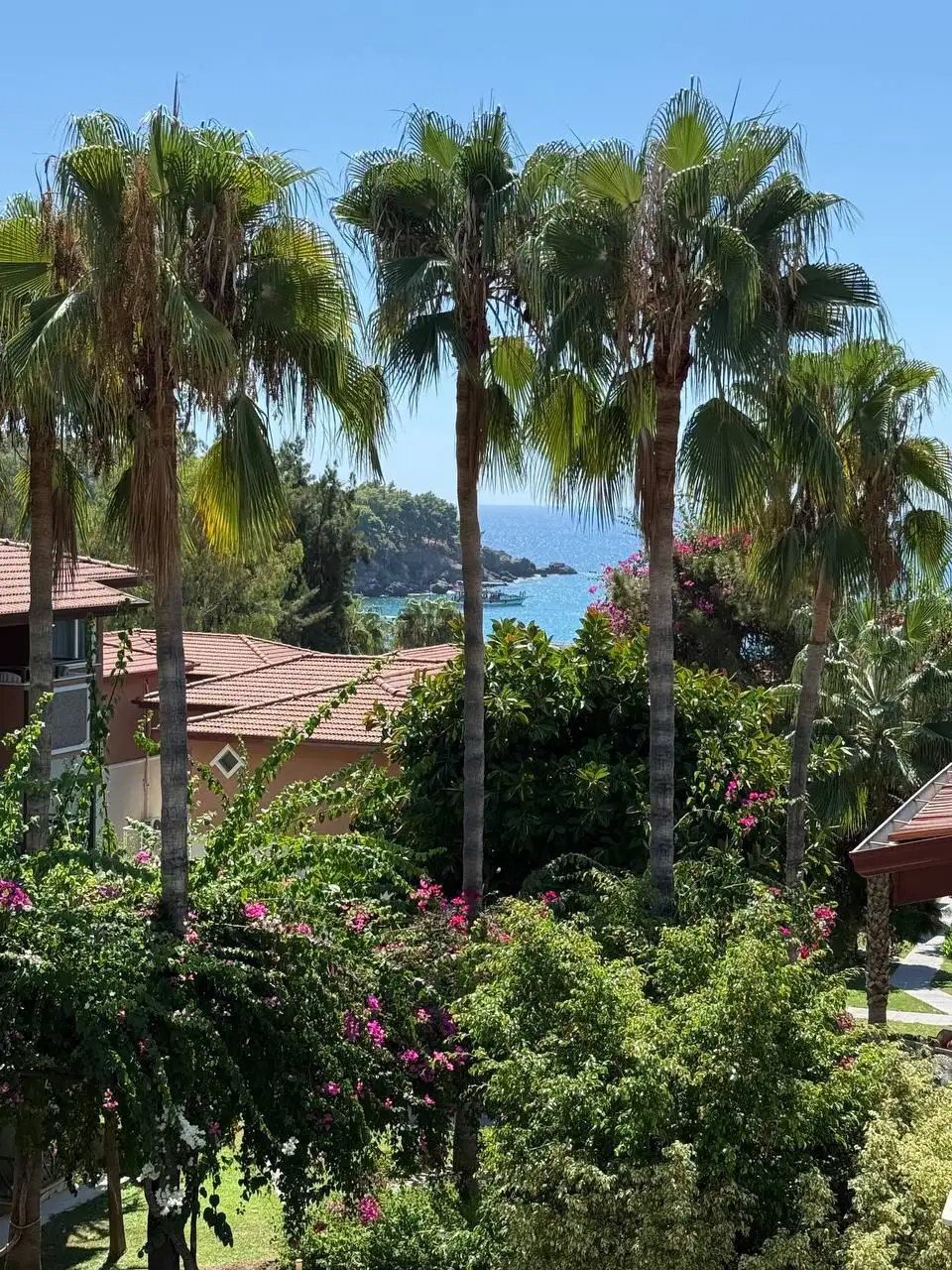 Тур в Турцию из Тюмени на 6 ночей - Туры (Хобби и отдых) в Тюмень