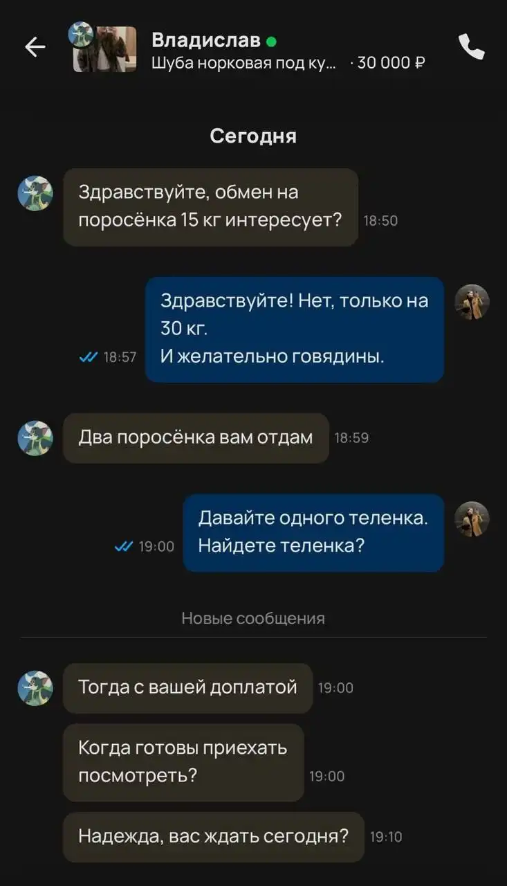 Предложение партнерства в бизнесе на Авито - Партнерство (Услуги) в Сургут