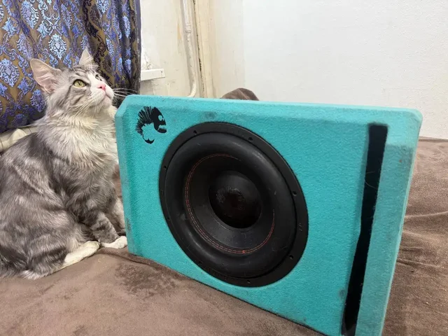 Продам саб Piranha 12A Marine V2 - Авто в Иркутск