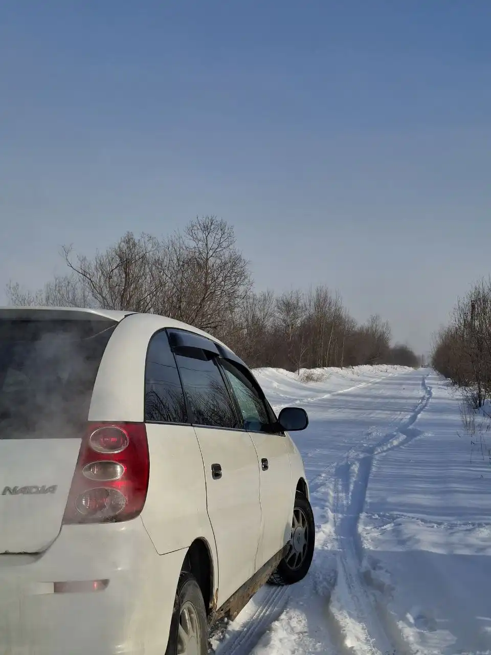 Продажа Toyota Nadia 1998 года - Внедорожники и кроссоверы (Авто) в Иркутск