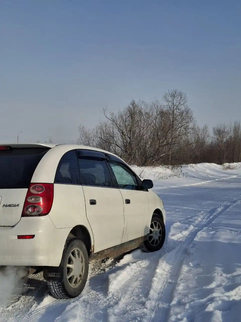 Продажа Toyota Nadia 1998 года - Внедорожники и кроссоверы (Авто) в Иркутск