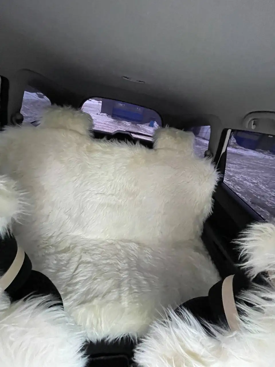 Продажа 7-местного автомобиля в отличном состоянии - Авто в Иркутск