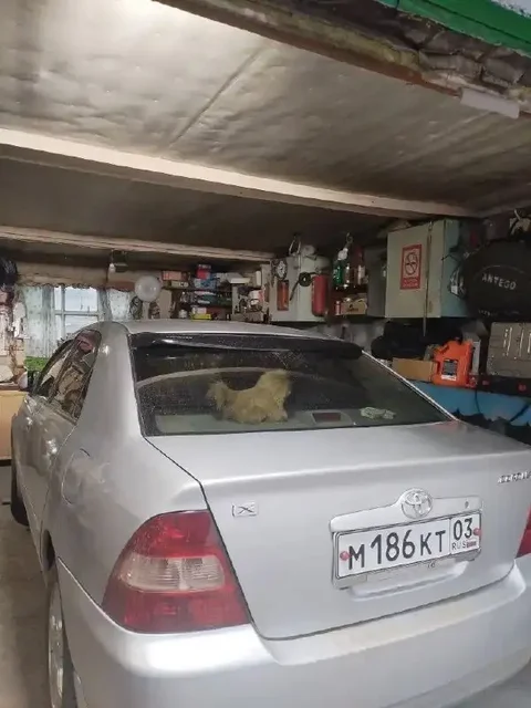 Toyota Corolla 2002 (E121) - Запчасти для ВАЗ в Иркутск