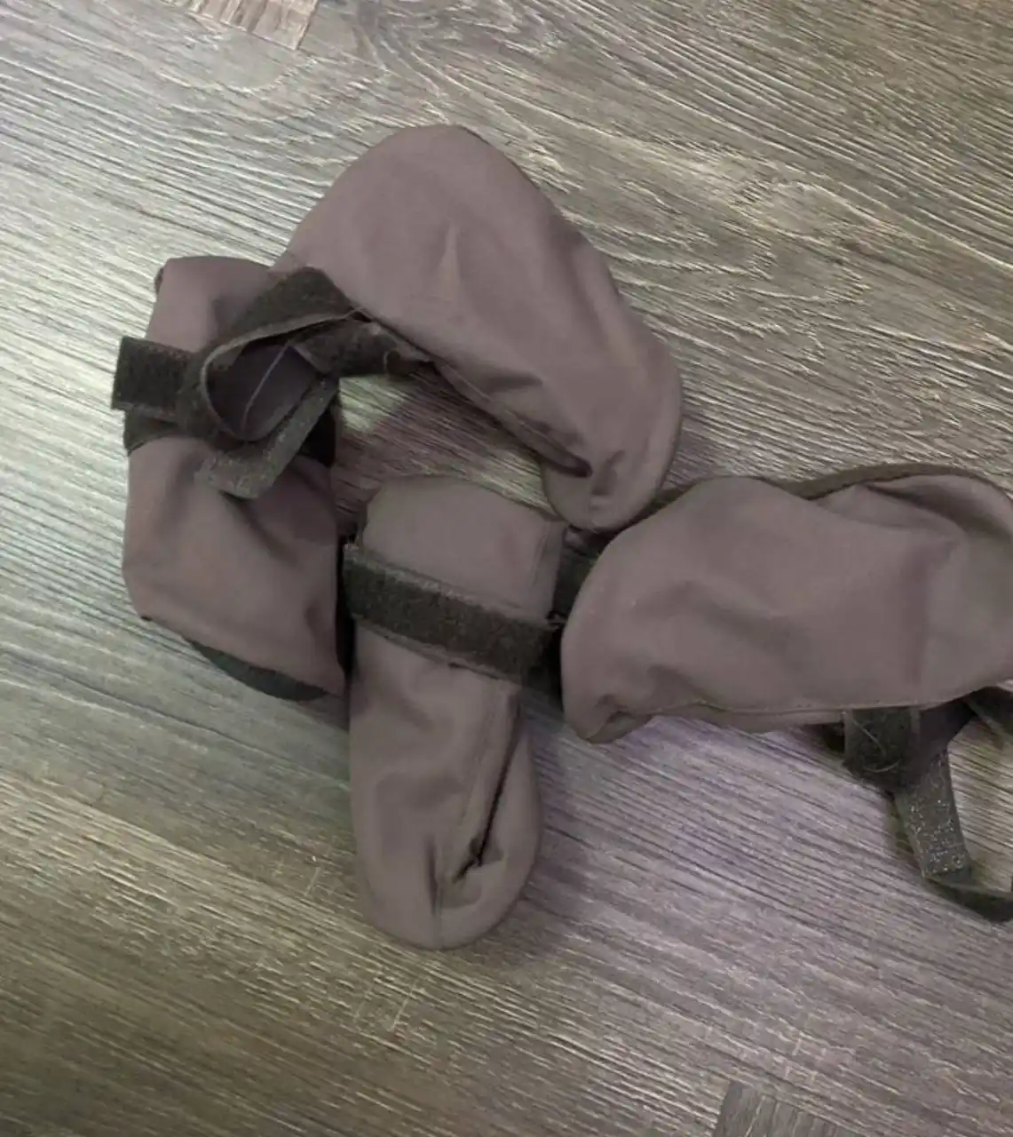 Комбинезоны и ботинки для животных