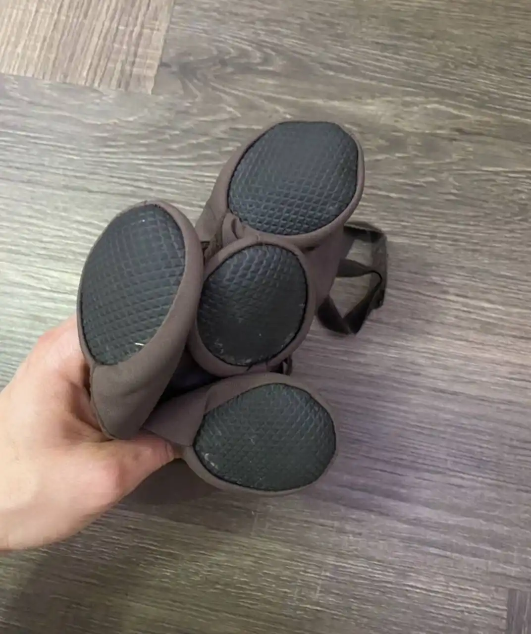 Комбинезоны и ботинки для животных