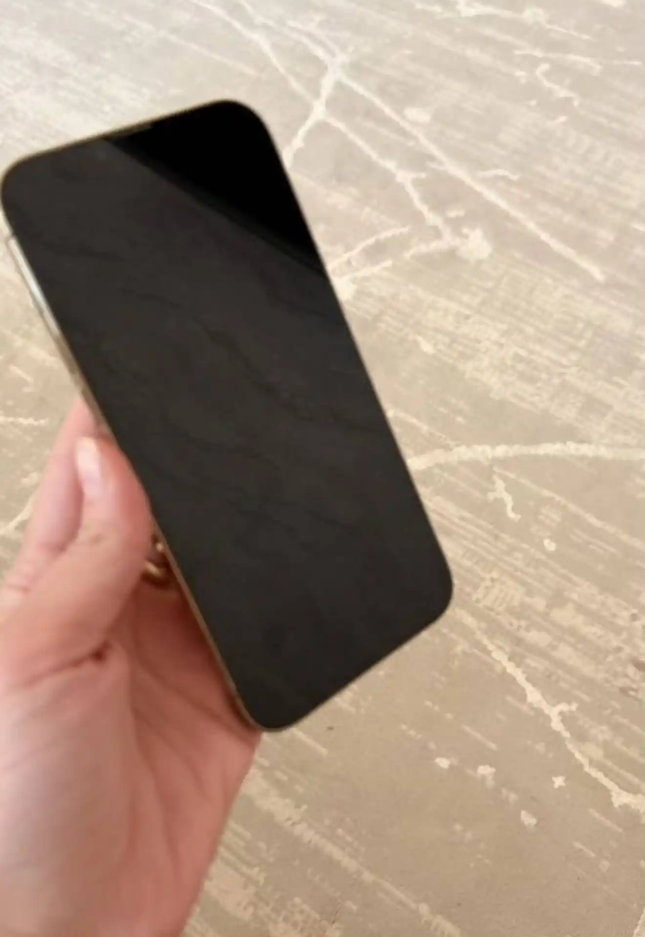 Продажа iPhone 13 Pro Max 1TB Desert Titanium