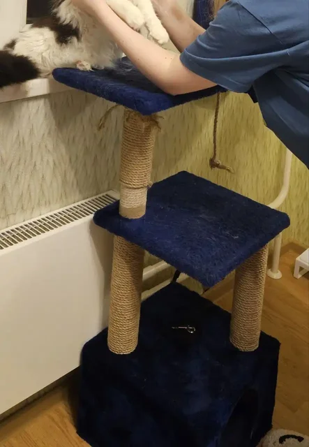 Когтеточка для кошек б/у - Товары для детей в Люберцы