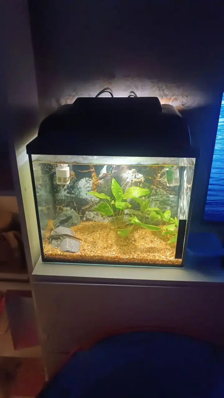 Продам аквариум 35 л с фильтром