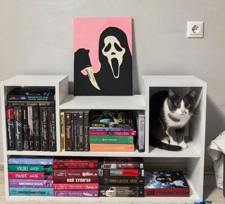 Полка в идеальном состоянии - Барахолка в Люберцы