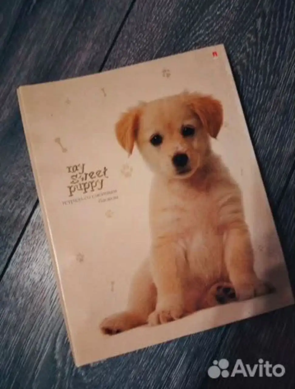 Продажа новых канцелярских принадлежностей - Канцелярия (Барахолка) в Некрасовка