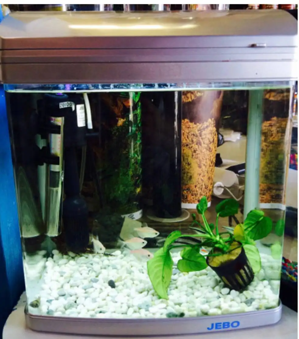 Аквариум бесшовный Jebo R331 на 20 литров - Аквариумы (Барахолка) в Люберцы