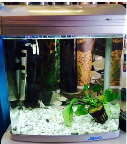 Аквариум бесшовный Jebo R331 на 20 литров - Детские книги в Люберцы