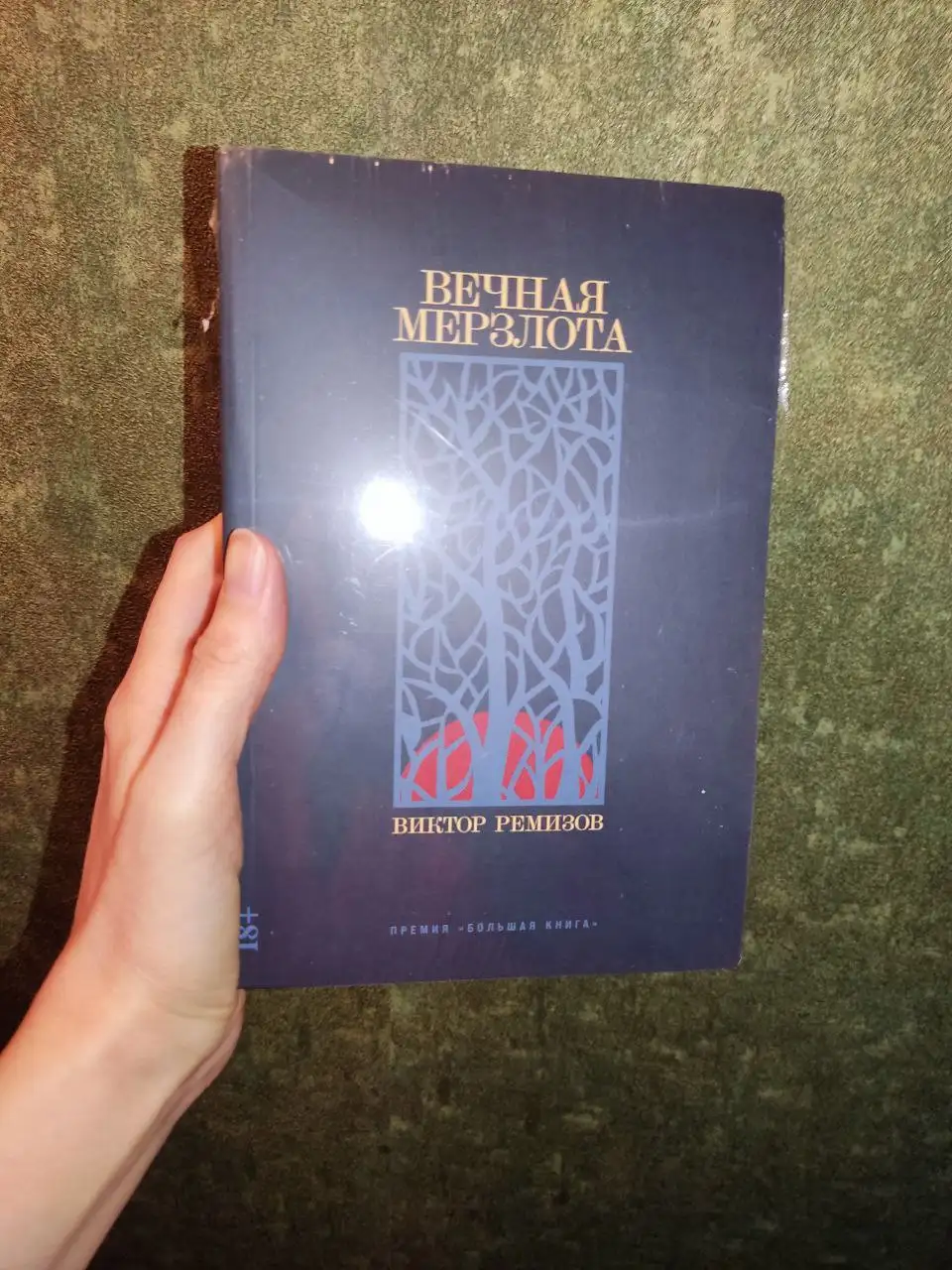 Книга "Вечная мерзлота" Виктора Ремизова - Книги (Хобби и отдых) в Москва