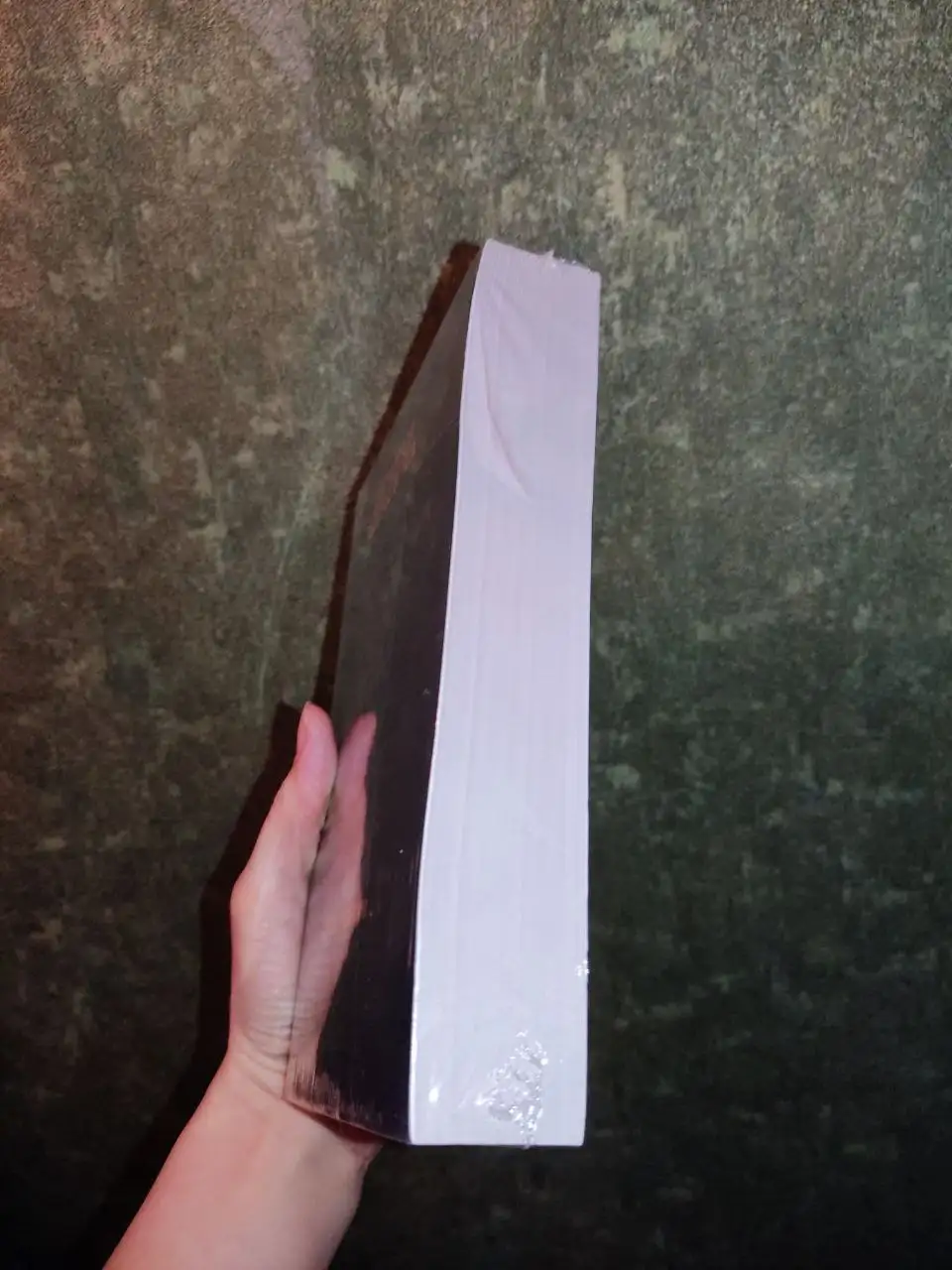 Книга "Вечная мерзлота" Виктора Ремизова - Книги (Хобби и отдых) в Москва