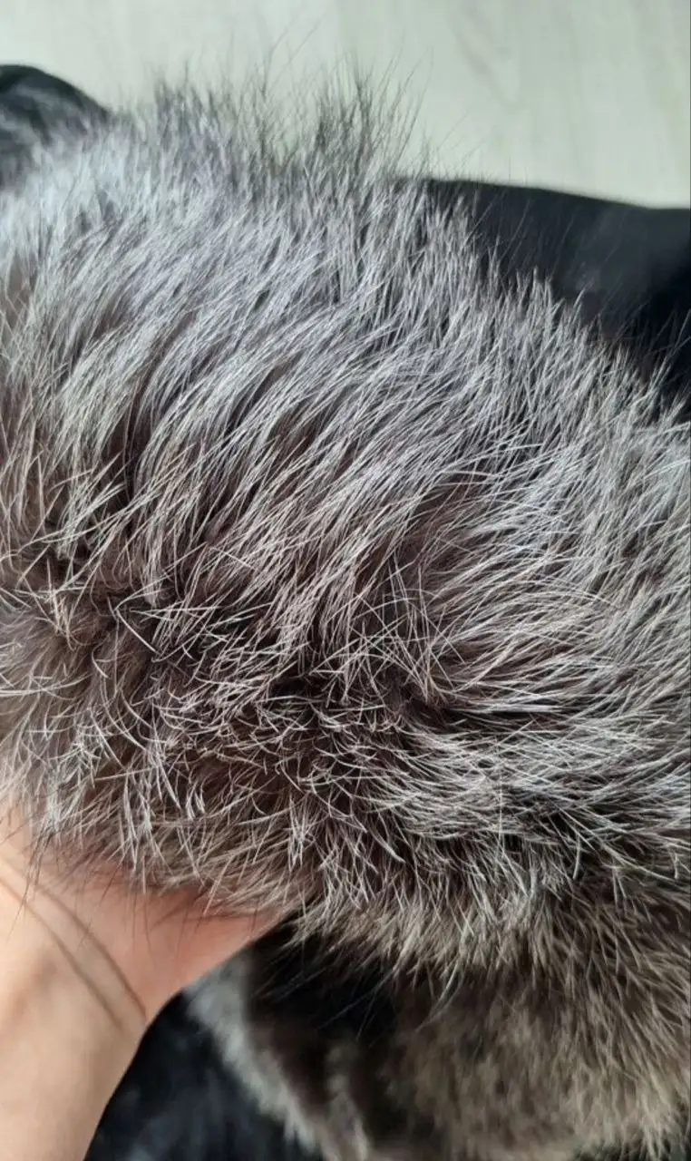 Продажа дублёнки 42-44 размер - Верхняя одежда (Одежда) в Люберцы