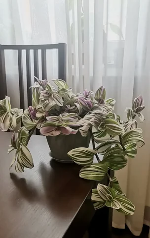 Продажа в Барахолке Некрасовка Люберцы - Кофемашины в Люберцы