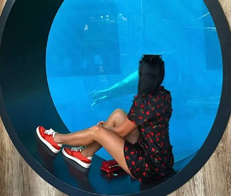 Шорты размер 44 - Одежда в Некрасовка, Люберцы