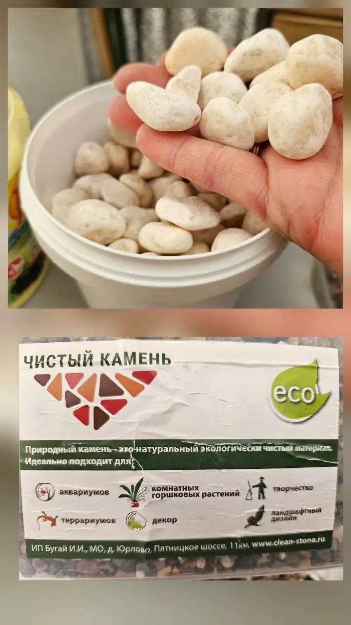 Гравий для аквариума или суккулентов - Аквариумистика (Хобби и отдых) в Некрасовка