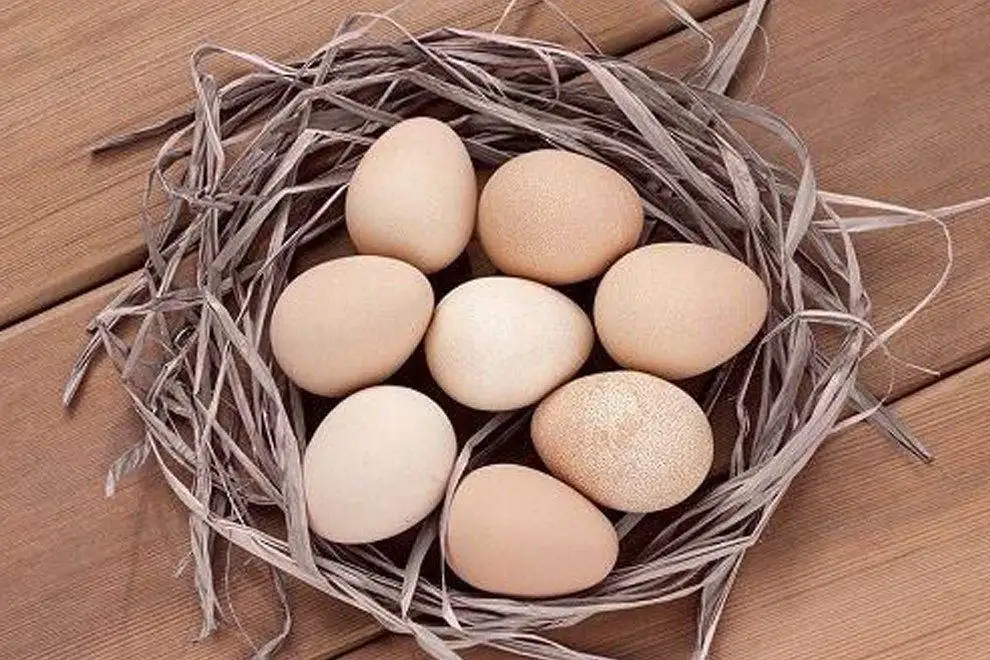 Домашние цесаринные яйца - Продукты питания (Барахолка) в Люберцы