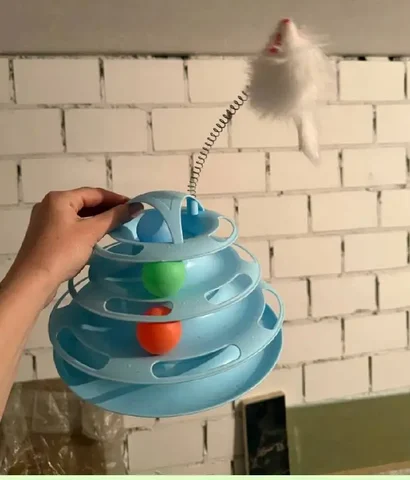 Кошечка в Некрасовке - Амуниция для собак в Некрасовка