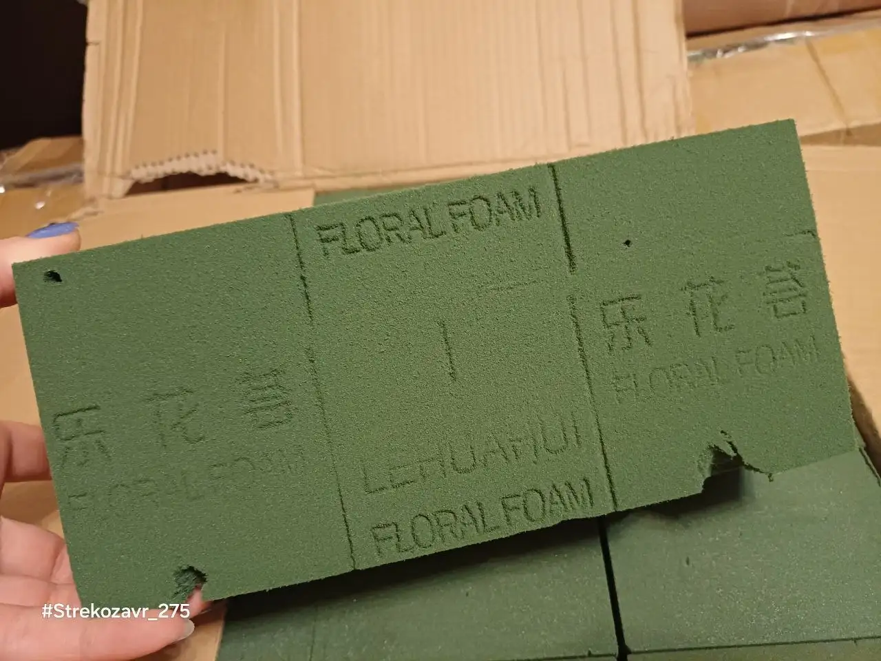 Цветочные губки для флористов - Цветы и растения (Для дома и дачи) в Москва