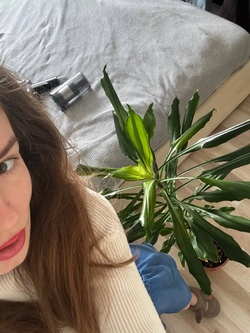 Продажа растений и рассады - Растения (Для дома и дачи) в Москва