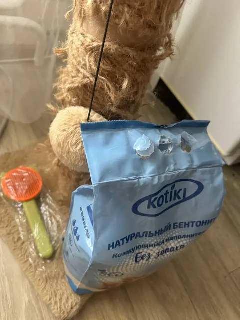 Набор для кота/кошки (когтеточка, наполнитель, расческа) - Животные в Некрасовка