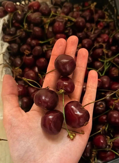 Продажа ягод и фруктов - Барахолка в Некрасовка