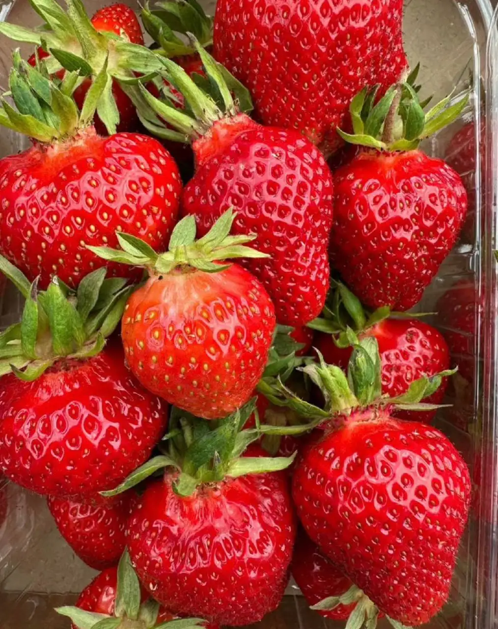 Продам клубнику - Продукты в Самара