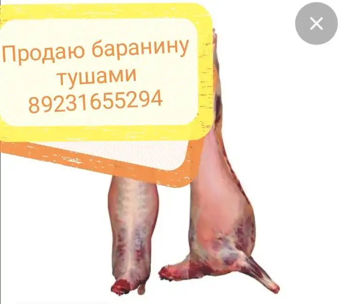 Продажа туши мяса с доставкой в Барнаул