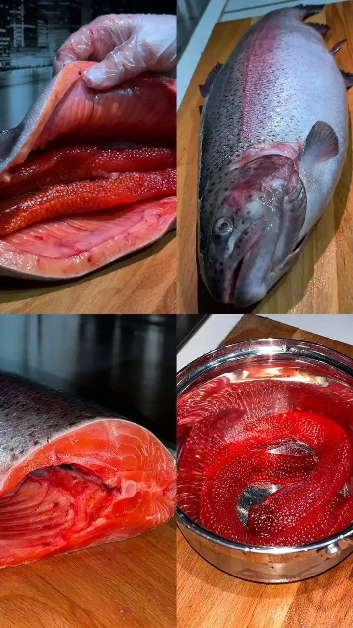 Радужная форель шоковой заморозки