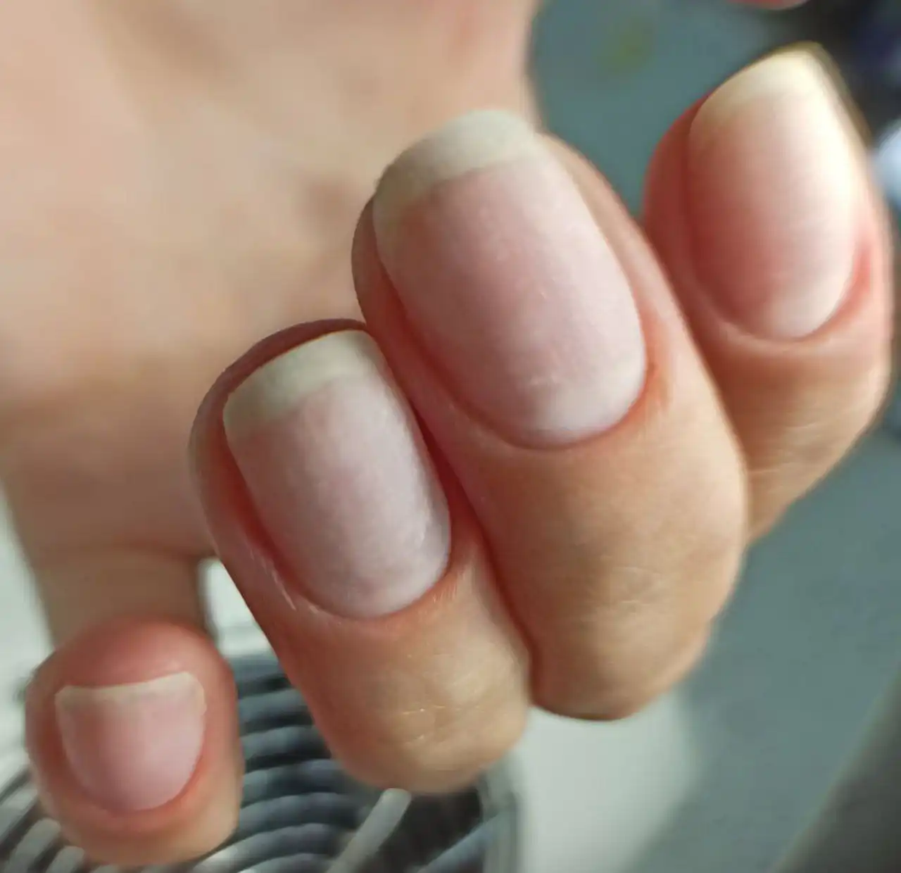 Маникюр для пенсионеров в Барнауле - Красота (Услуги) в Барнаул