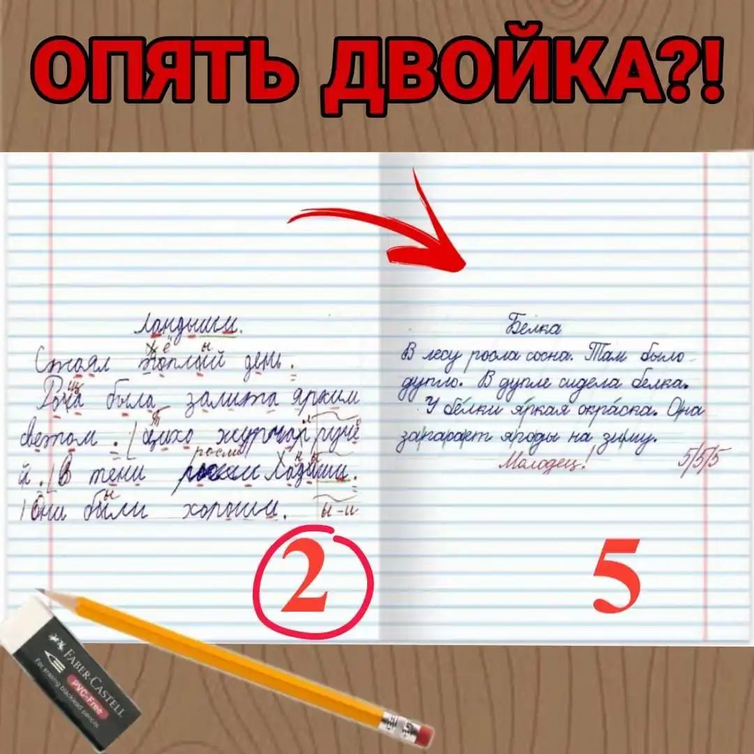 Курс коррекции письма для школьников 2-4 классов - Образовательные услуги (Услуги) в Барнаул