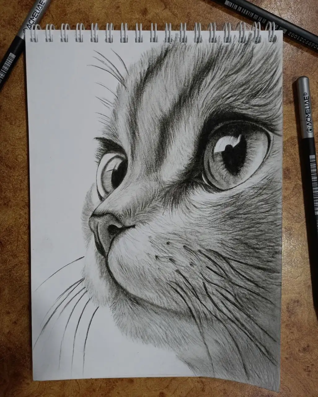 Рисование на заказ: портреты и картины акрилом - Творческие услуги (Услуги) в Барнаул