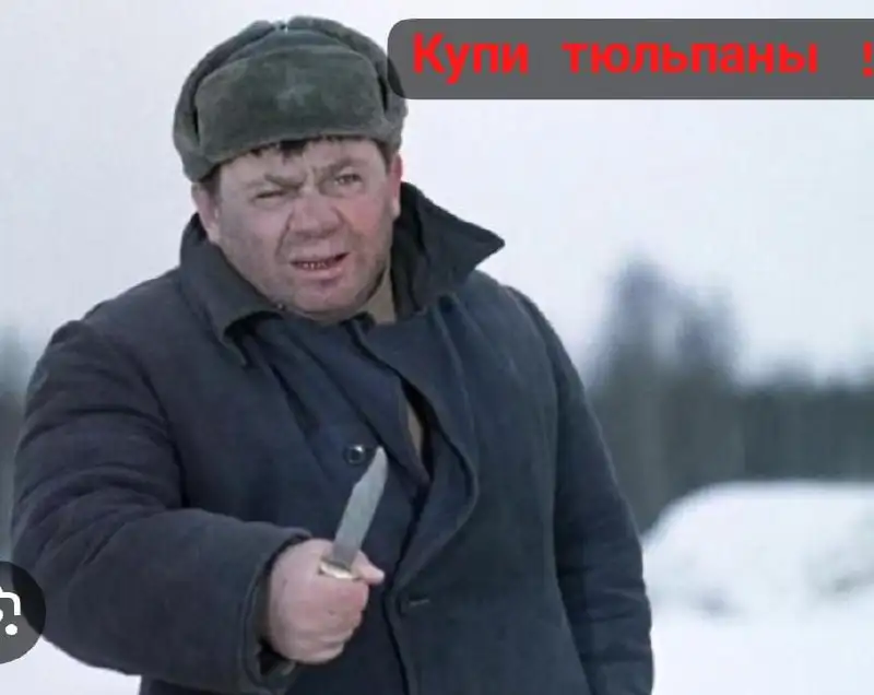 Продажа тюльпанов в Барнауле - Растения/цветы (Хобби и отдых) в Барнаул