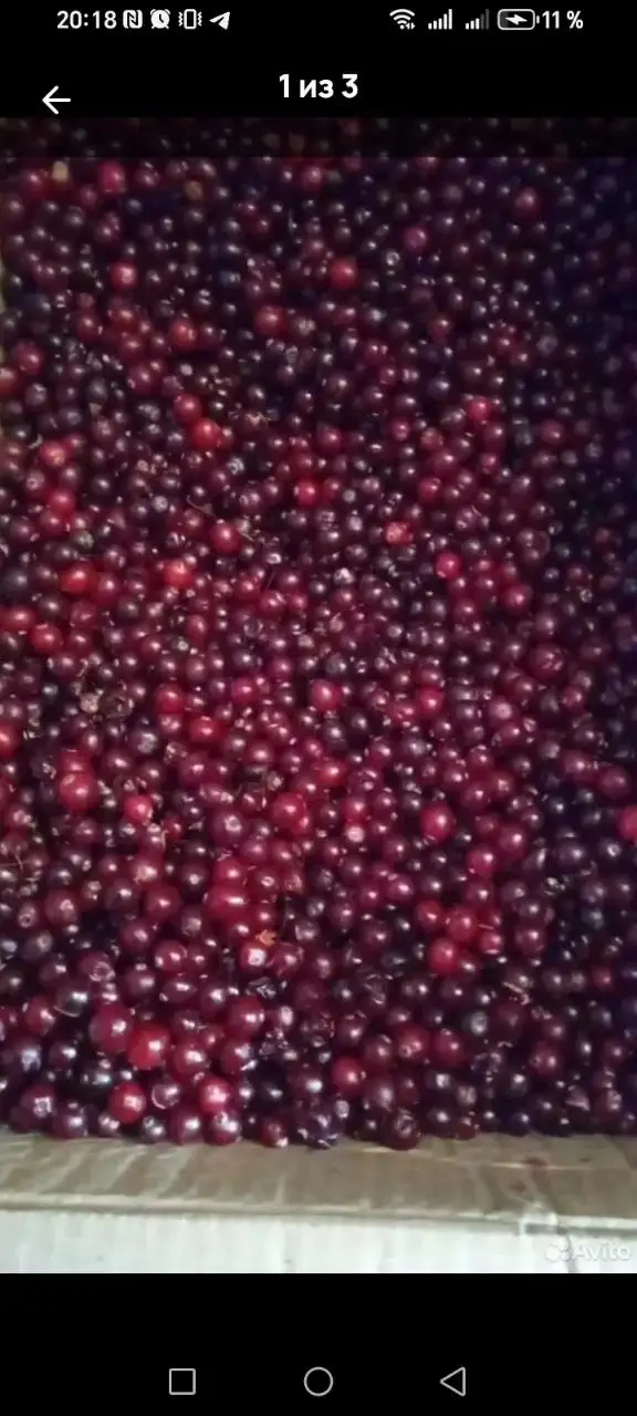 Продажа замороженной клюквы - Продукты питания (Барахолка) в Барнаул