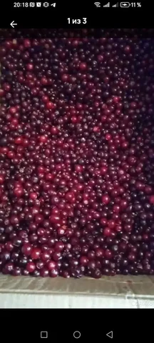Продажа замороженной клюквы - Светильники и освещение в Барнаул