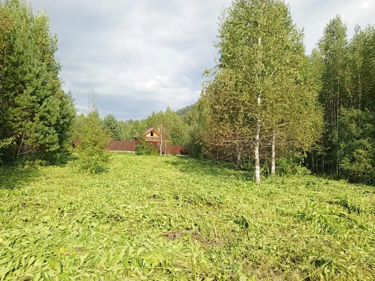 Земельный участок 10 соток для ИЖС в Республике Алтай - Земельные участки (Недвижимость) в Майминский район