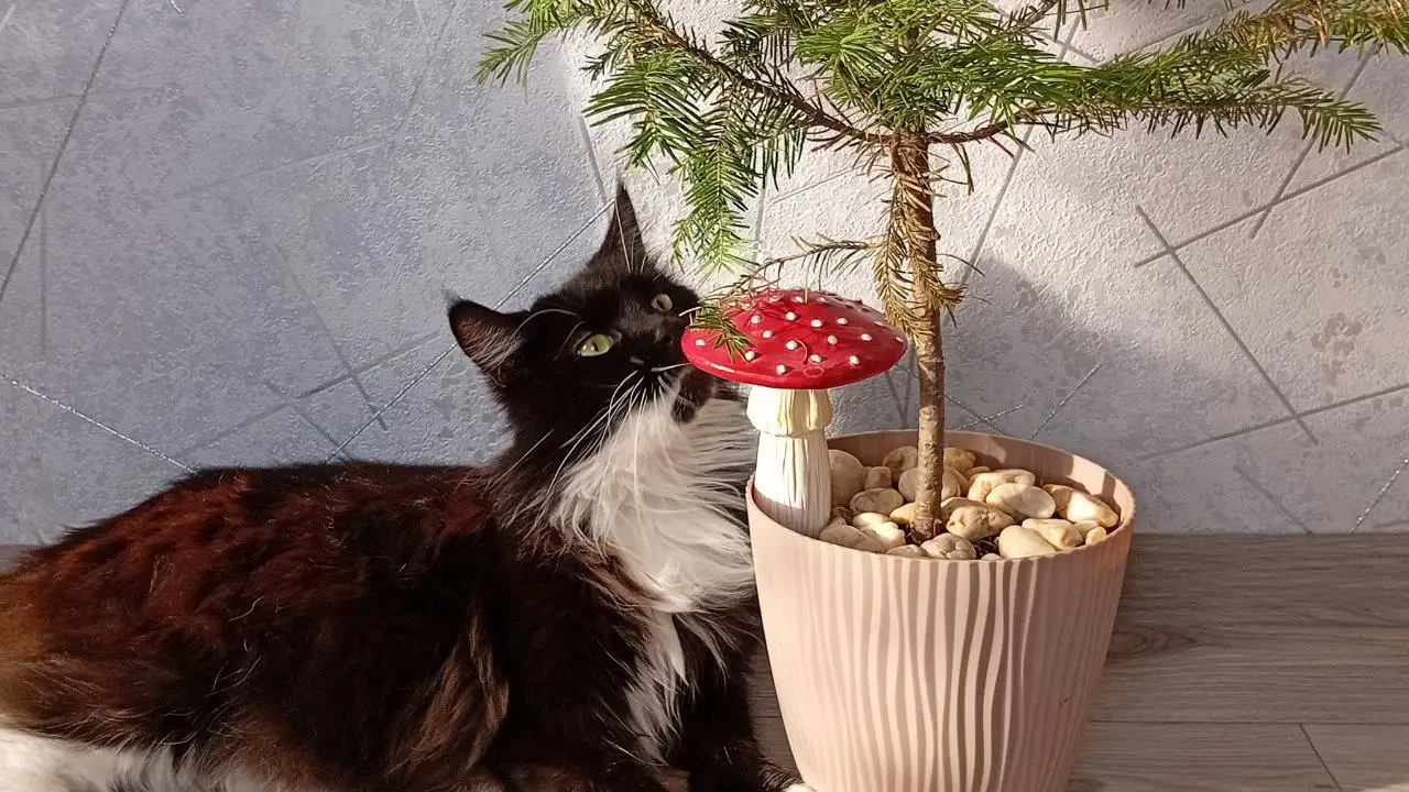 Куплю литые диски 4х98 - Запчасти (Авто) в Барнаул