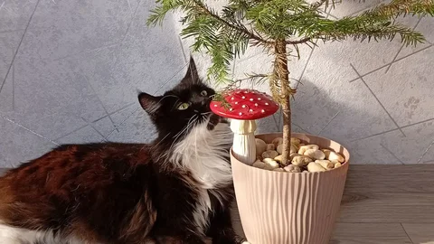 Куплю литые диски 4х98 - Авто в Барнаул